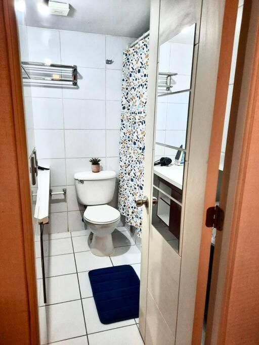 Apartamento Acogedor Dpto Bellas Artes, Lastarria